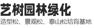 实力厂家